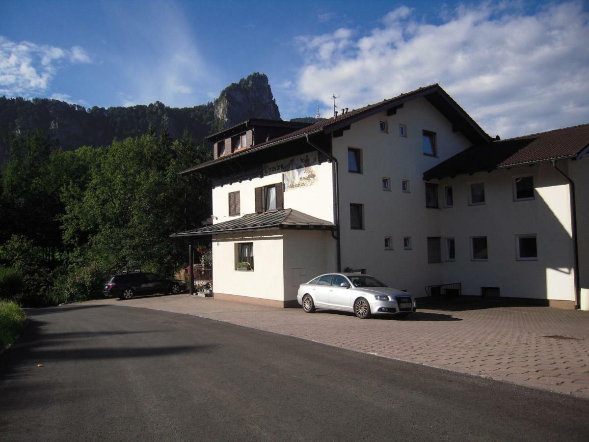 Pension Nocksteinblick Guggenthal エクステリア 写真